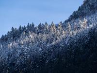 Sonnenlicht Kegel an frisch verschneitem Bergwald im Priental